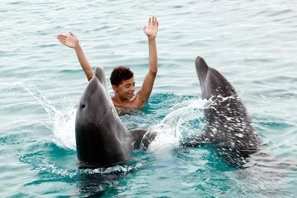 Happy with the dolphins