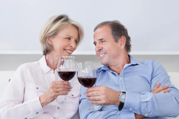 Portrait Of Mature Couple Toasting With Wine