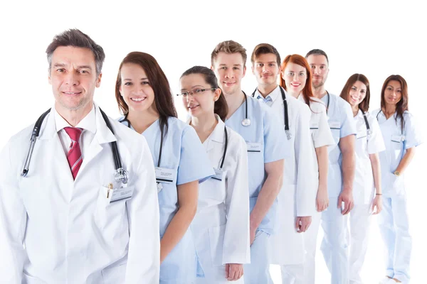 Long line of smiling doctors and nurses
