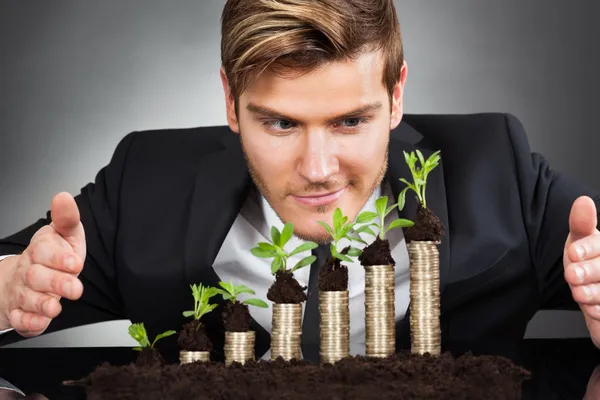 Businessman Protecting Coins In Saplings