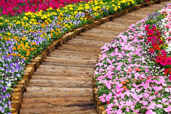 Wooden path in flower bed