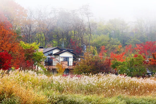 Wooden house in forest during autumn