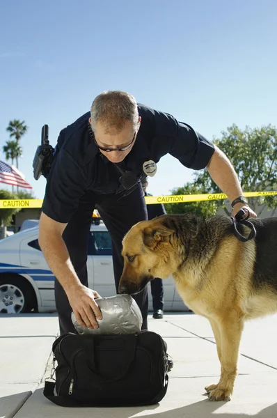 Police Dog Sniffing Bag