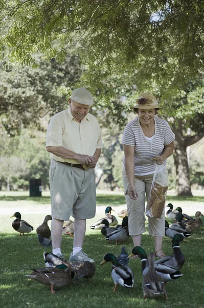 Happy senior couple feeding ducks