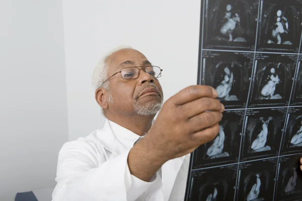Senior Male Doctor Examining X-Ray In Clinic