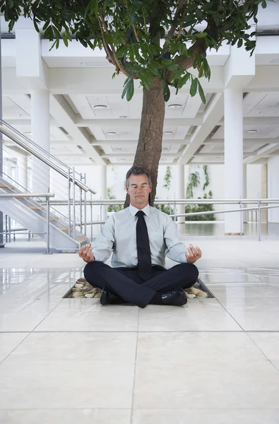 Businessman Meditating Under Tree