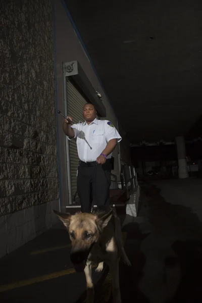 Young Security Guard With Canine Dog On Duty