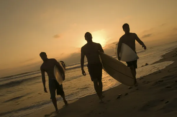 Surfers carrying surfboards