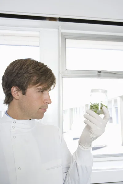 Scientist holding sample in laboratory
