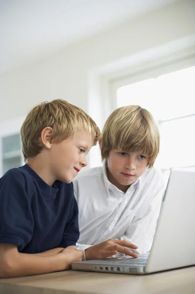 Brothers using laptop