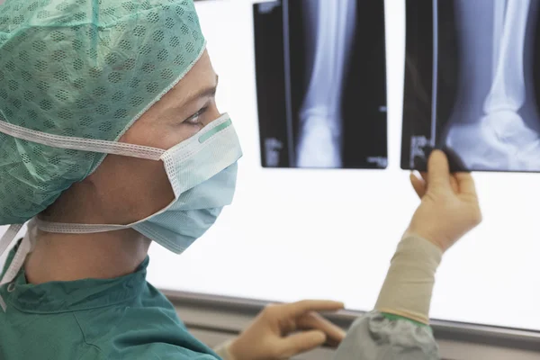 Radiologist Examining X-Ray