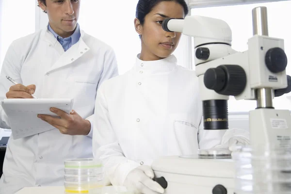 Scientists using microscope in laboratory