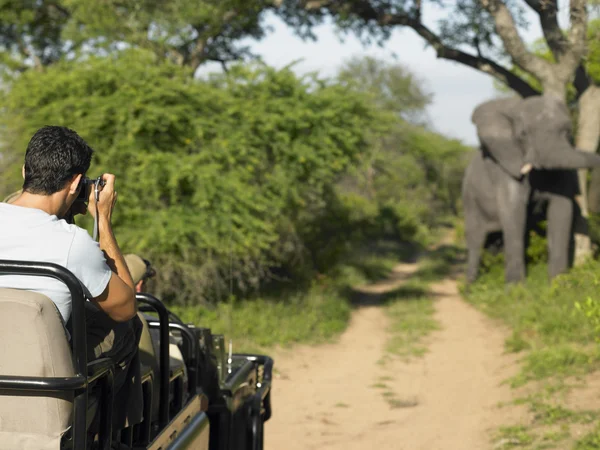Man on safari taking photograph
