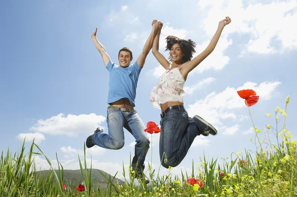 Couple jumping in meadow