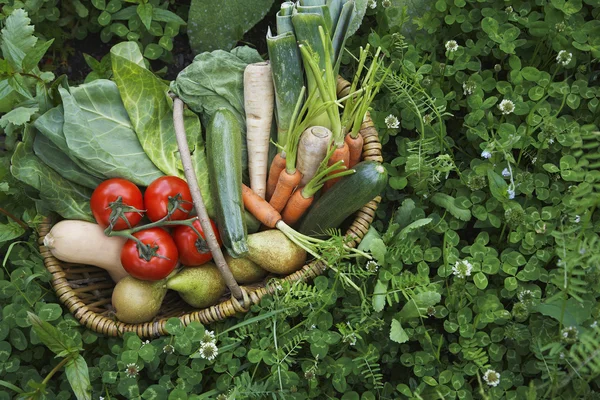 Fruits and vegetables in  basket