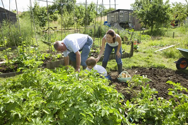 Family with boy gardening