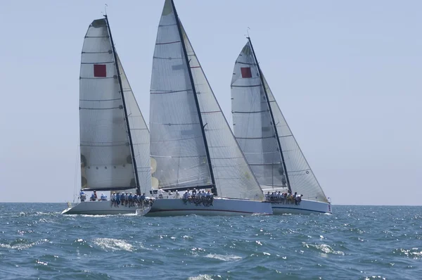 Yachts on sailing event