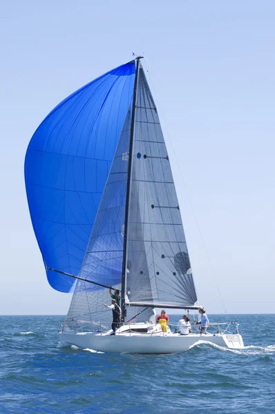 Sailboat on competition