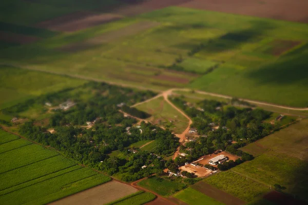 Image of summer green meadow with tilt shift effect.