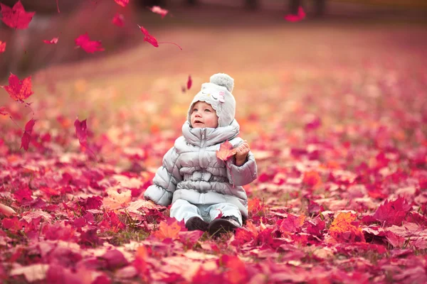Portrait of a baby with autumn