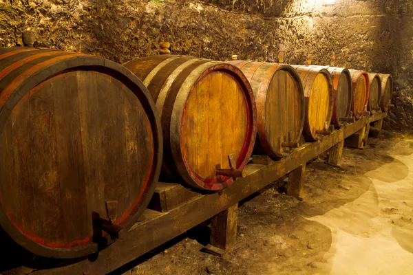 wine cellar — Stock Photo #12526008