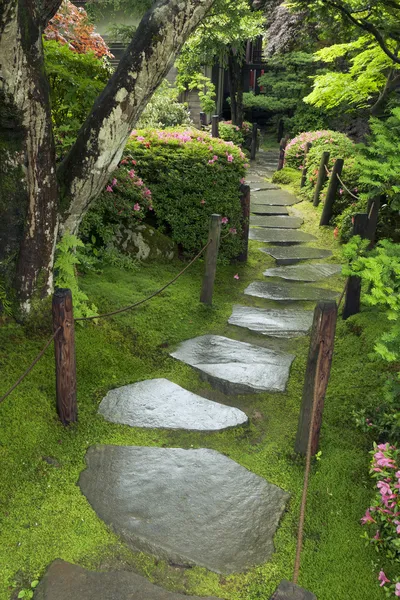 Wet pathway