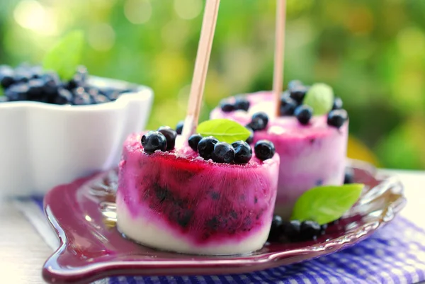 Homemade blueberry ice cream