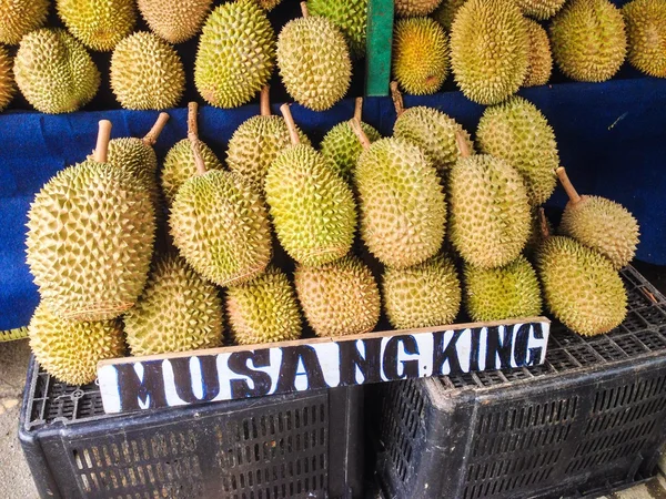 The Famous Musang King Durian, Malaysian Traditional King of Fruits.