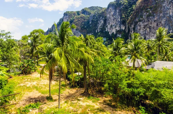 Thailand landscape. Palm trees on a background of mountains