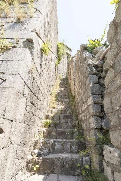 Walled City of Saint John in the town of Kotor. The city walls in the mountains and the stairs going up. Ruins of old wall