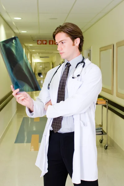 Male doctor looking at x-ray by hospital corridor