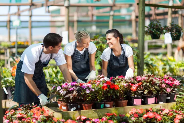 Group of garden workers working in nursery