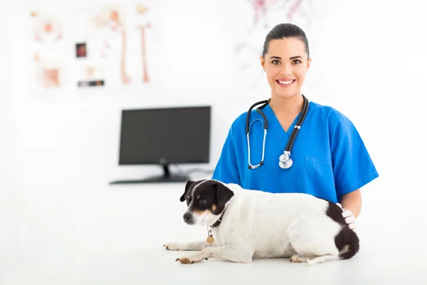 Female veterinary assistant caring for pet dog