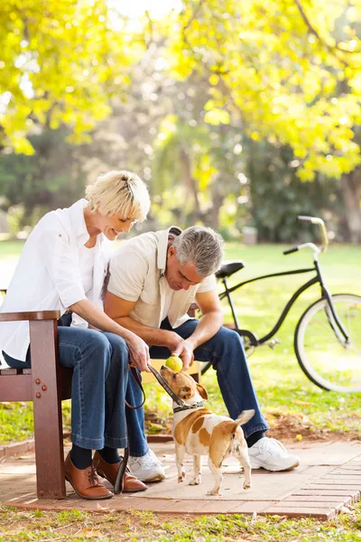 Middle aged couple playing with pet dog outdoors