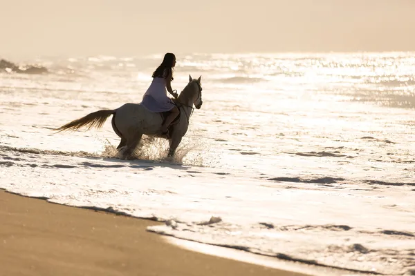 Woman horse rider on beach