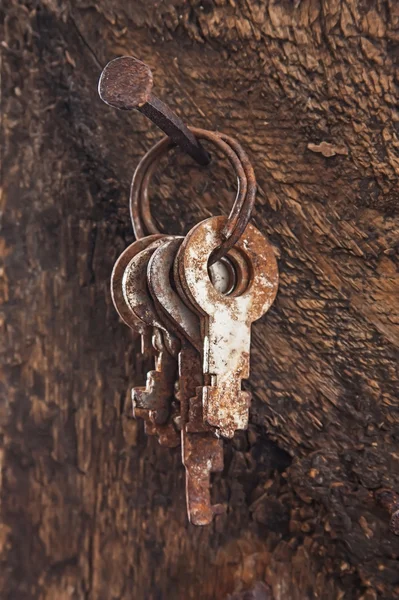 Forgotten keys on an old nail