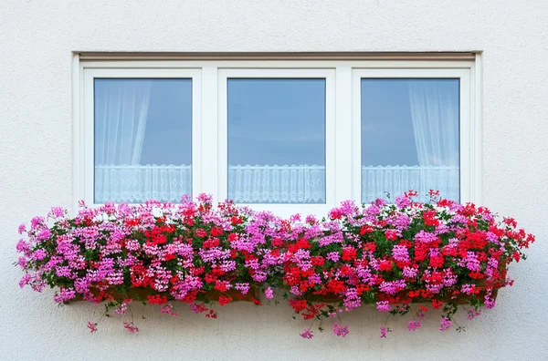 flower window