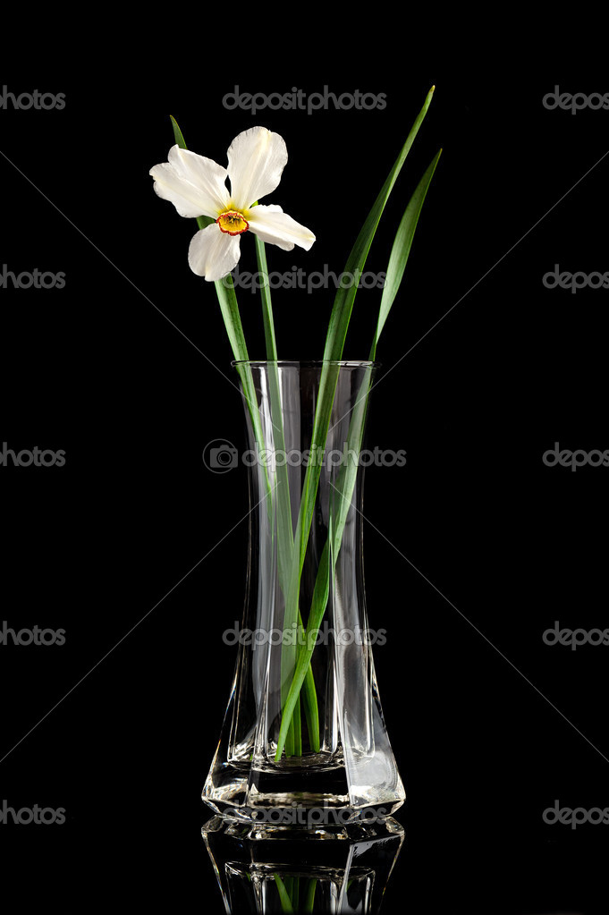 http://st.depositphotos.com/1012216/2557/i/950/depositphotos_25571485-narcissus-flower-in-a-vase.jpg
