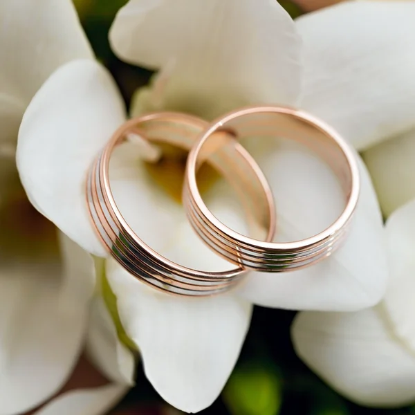 Gold wedding rings on flower . Decorating the wedding ceremony.