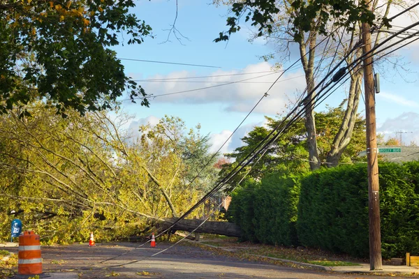 Hurricane Sandy