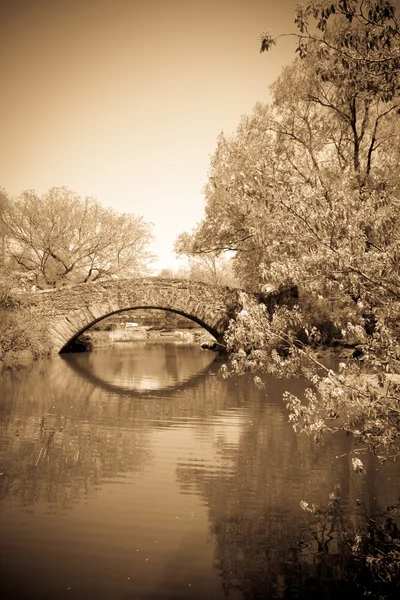 Central Park NYC