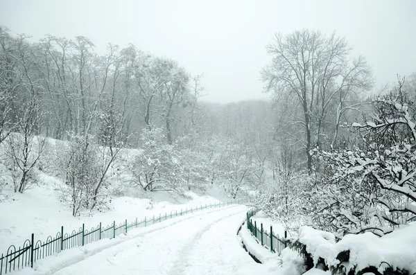 Landscape in winter city park