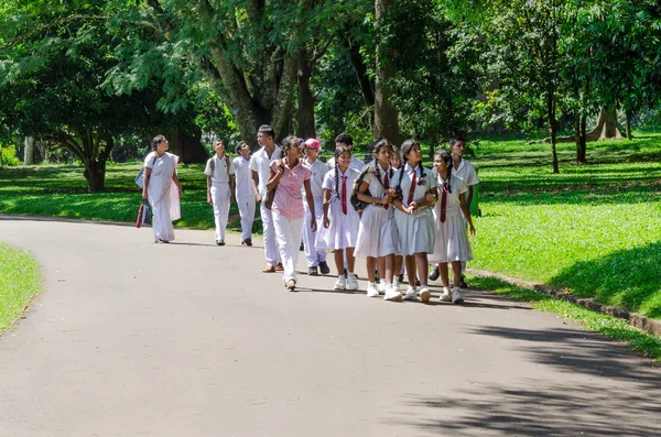 Group of pupils in a traditional school clothes on excursion in