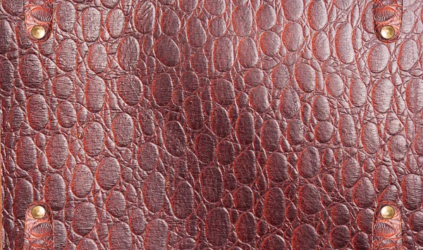 Vintage Old Natural Leather Texture.Design Menu