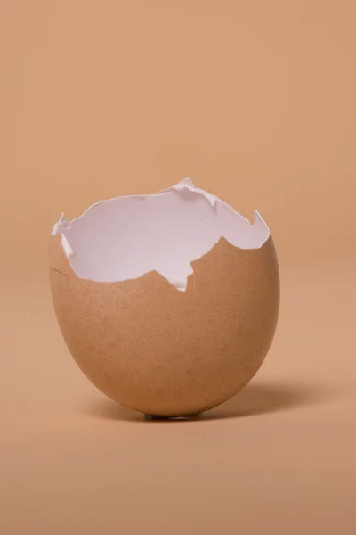 Empty broken brown egg shell