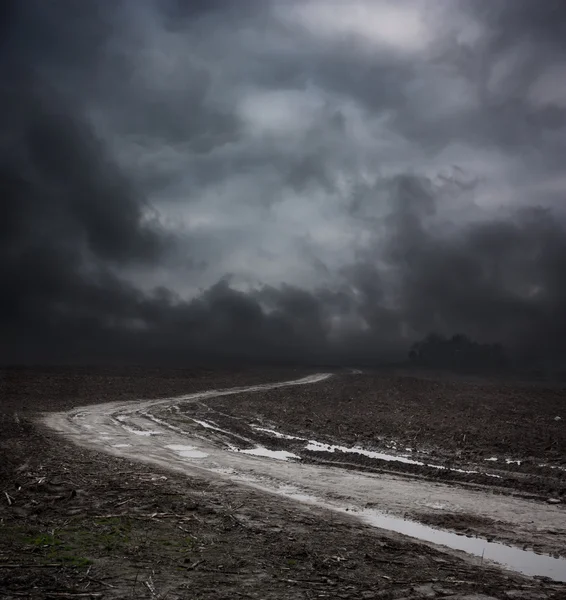 Dark Landscape with Dirty Road and Moody Sky