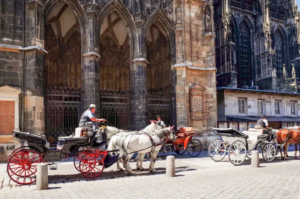 A horse and carriage carries tourists