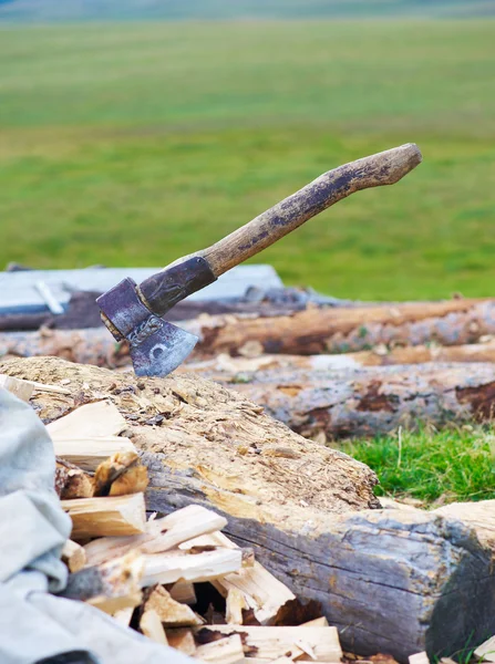 Old ax and firewood.