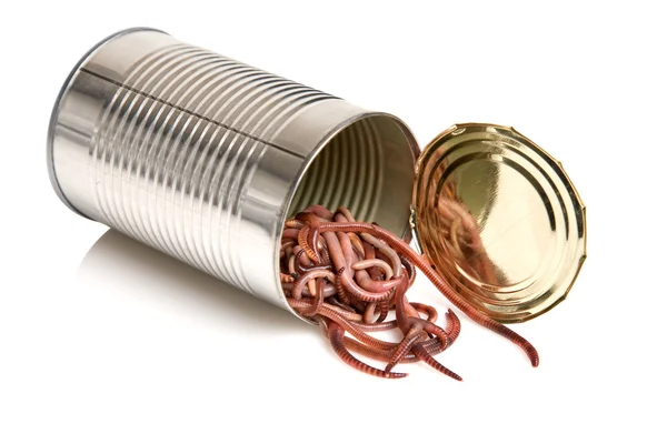 depositphotos_12034962-stock-photo-open-can-of-worms.jpg