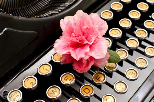 Old machine typewriter with flower